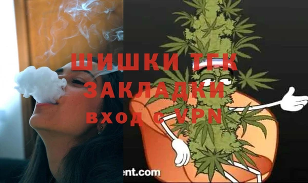 spice Верхний Тагил